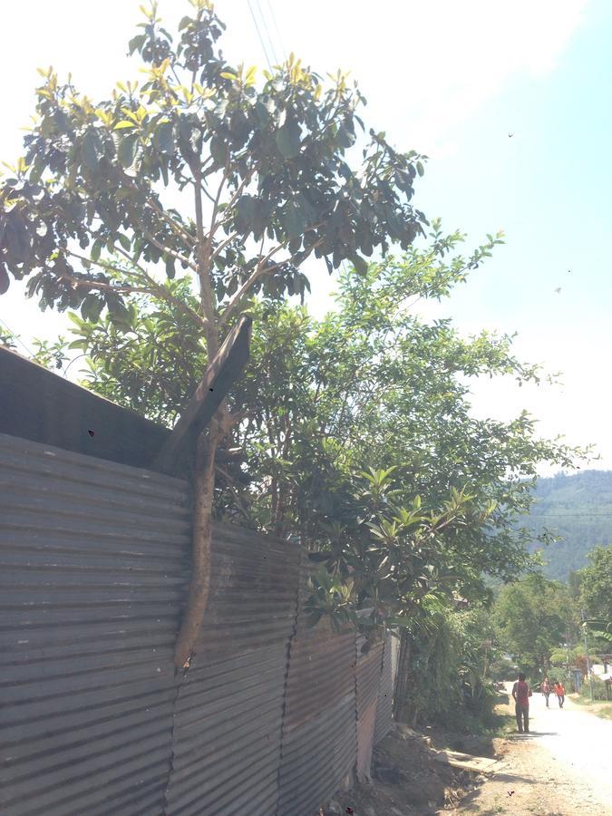 Cora Izone Hotel Coban Exterior photo